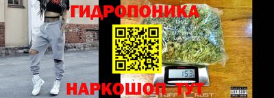 a pvp Гусиноозёрск