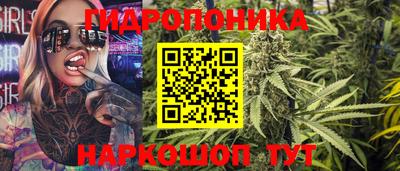 прущие крисы Гусев