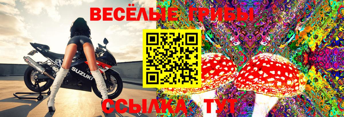 Донецк  Псилоцибиновые грибы Psilocybine cubensis  Вход с VPN 